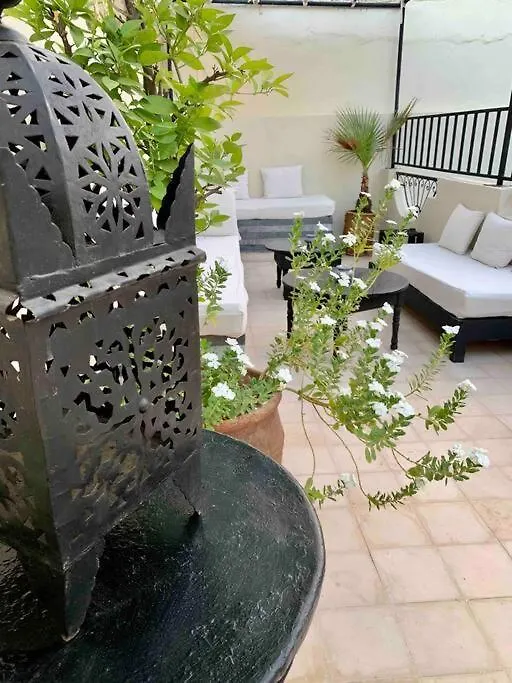 Riad 4 Chambres Avec Piscine Et Petit Dejeuner Marrakesh Villa